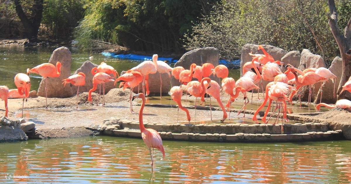 Faunia Zoo and Botanical Garden Entrance Tickets - Image 2